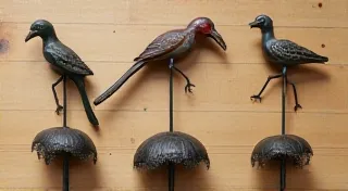 Collecting Specific Themes: Birds, Insects, and More